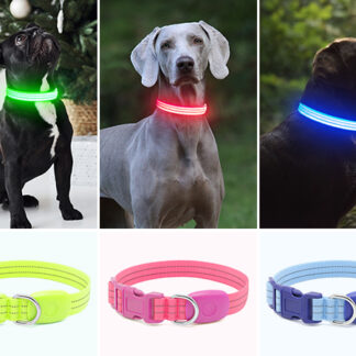 Rechargeable LED Dog Collar – PKR 1800