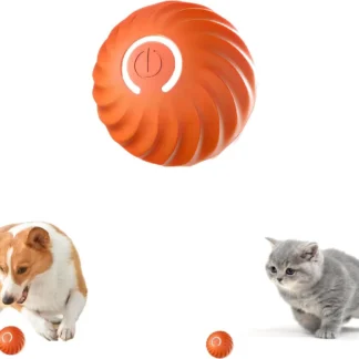 Interactive Bouncy Ball PKR 150